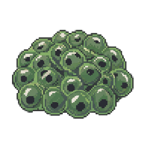 Frog Eggs