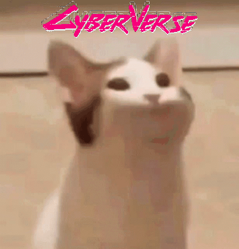 Uploaded Meme